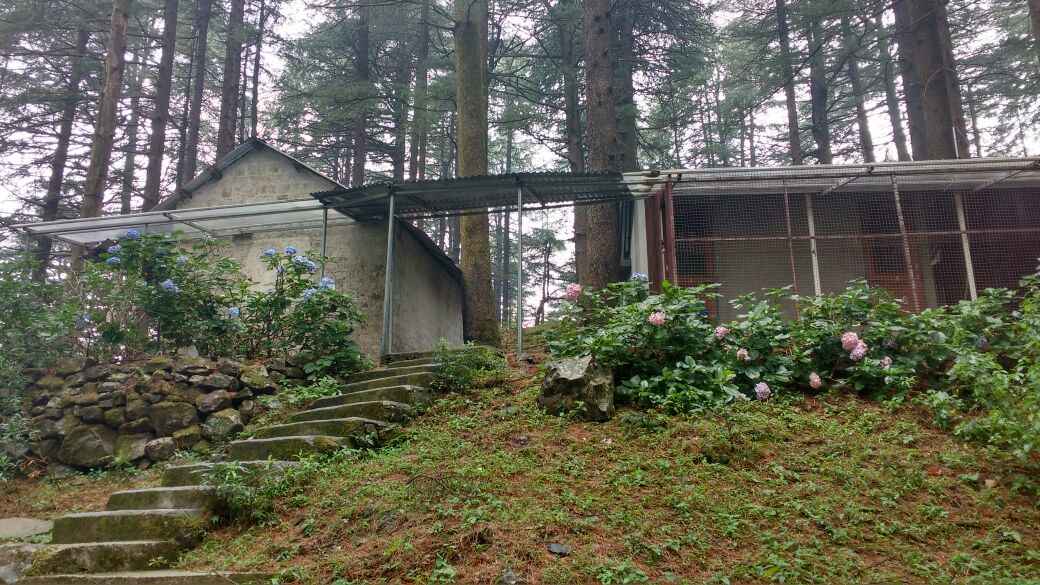 Vipassana 10 Days Of Silence Tripoto Its very easy to get there, for any further information rajivsunart@gmail.com this video. vipassana 10 days of silence tripoto