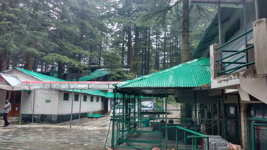 Vipassana 10 Days Of Silence Tripoto Dharamshala is not the only vipassana center in himachal pradesh. vipassana 10 days of silence tripoto