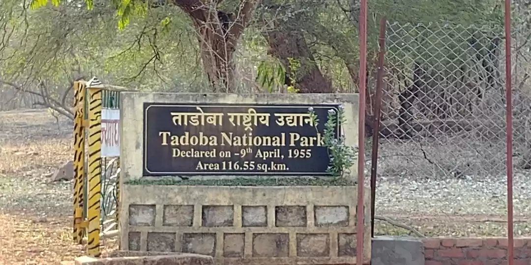 Photo of Jewel of Vidarbha -