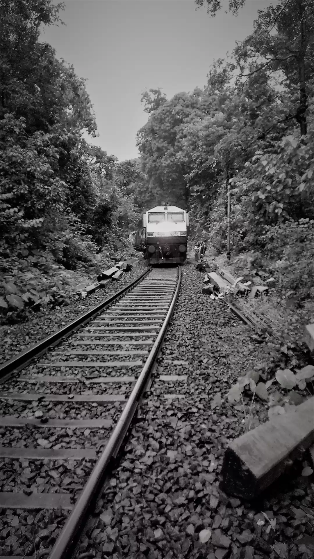 Photo of Trek to Dudhsagar Wa