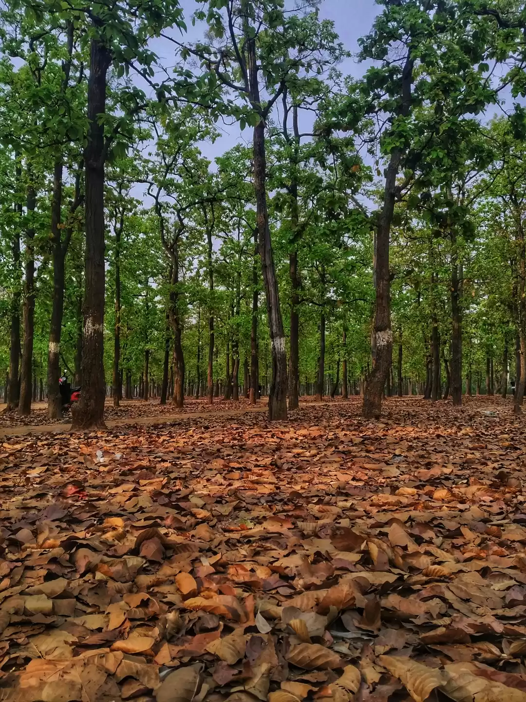 Photo of Shantiniketan #haat