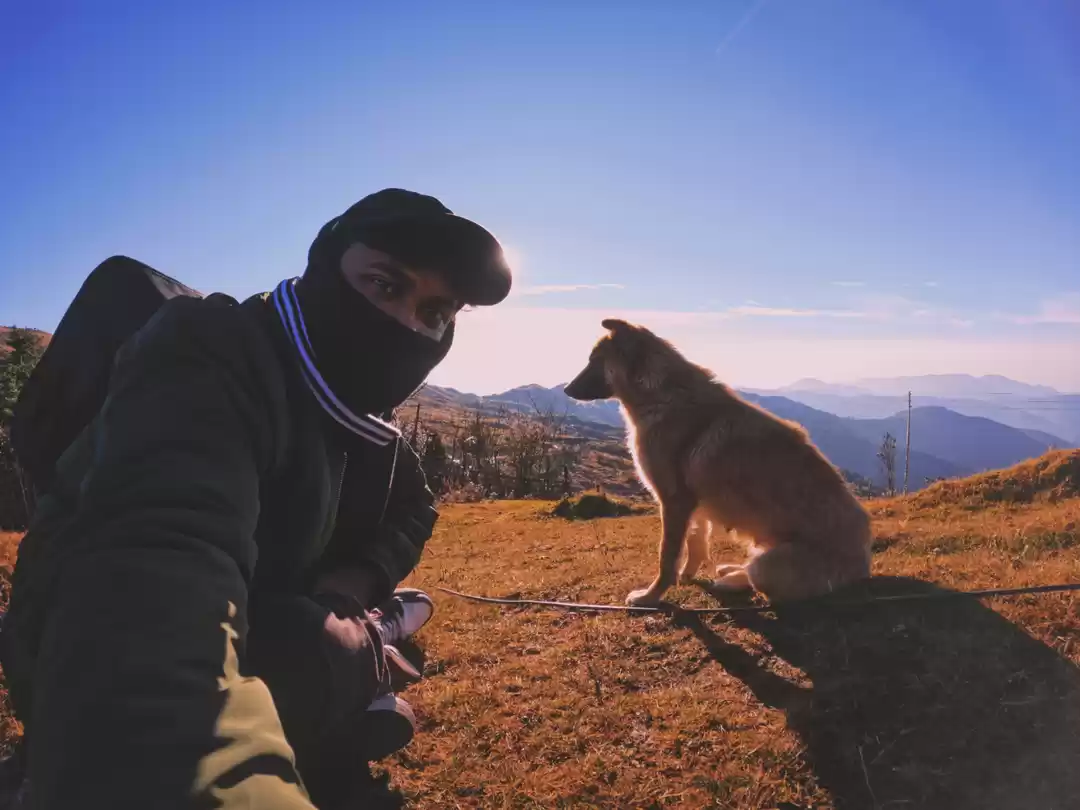 Photo of Tumling Vibes