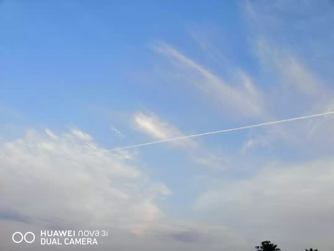 Photo of Beauty of Guntur