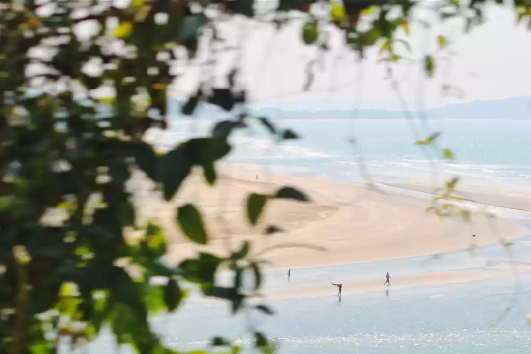 Photo of Glimpse of Aare Ware