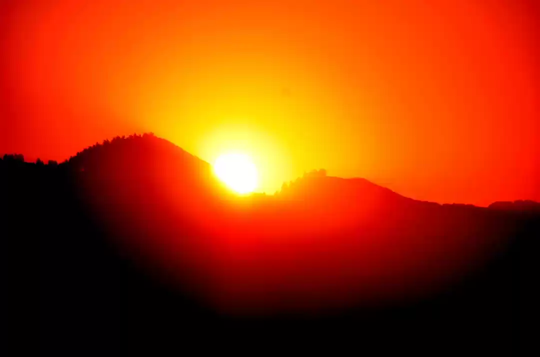 Photo of Trip to Srinagar, Ci