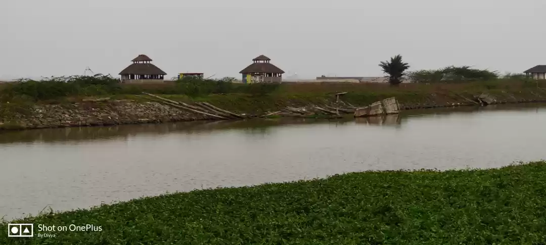 Photo of Offbeat beach scene 