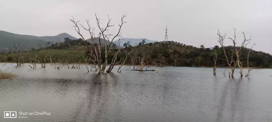 Photo of Scenic beauty of And