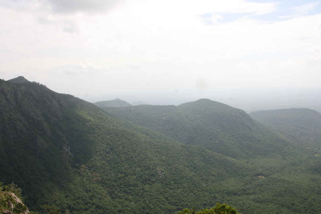 Photo of An impromptu trip to Yercaud