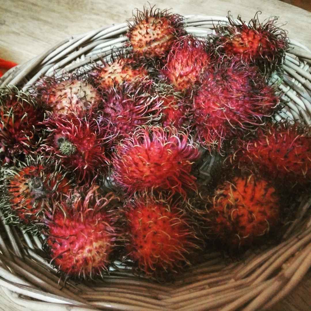 Thai Food Galore Tripoto Come, join amol parashar as he sets off to explore thailand in this season of an indian abroad. thai food galore tripoto