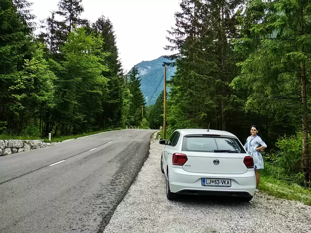 Photo of We found PARADISE in