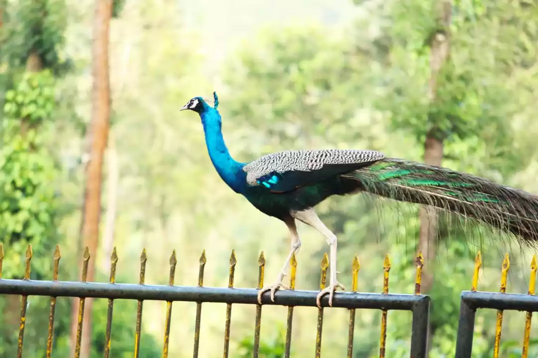 Photo of Want to experience t