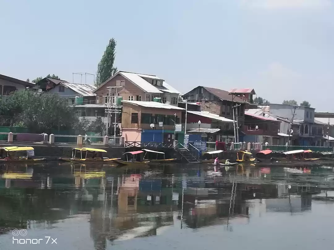 Photo of Pursuit of Paradise