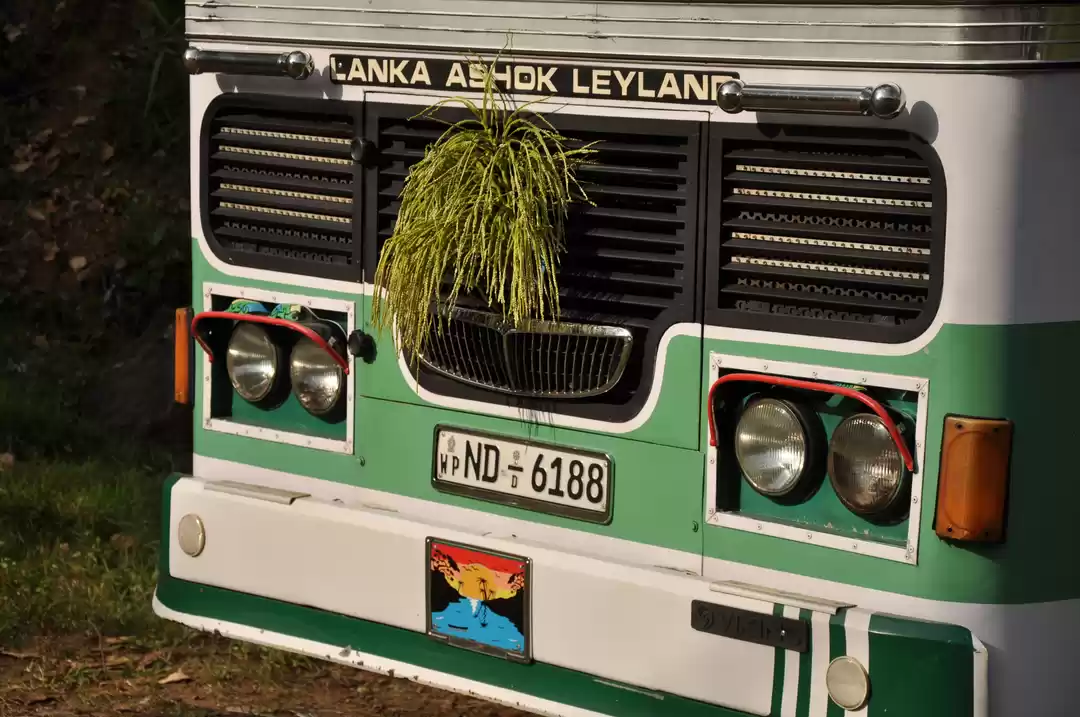 Photo of Travel by Bus in Sri