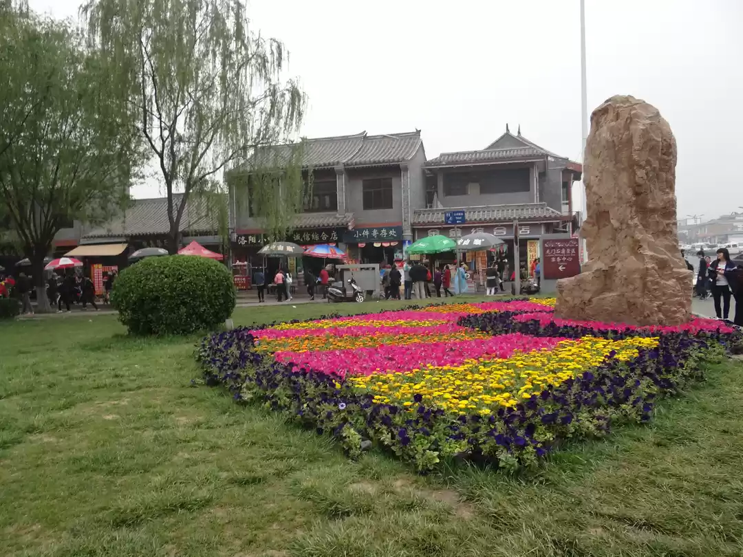 Photo of The Stone-Faced Budd