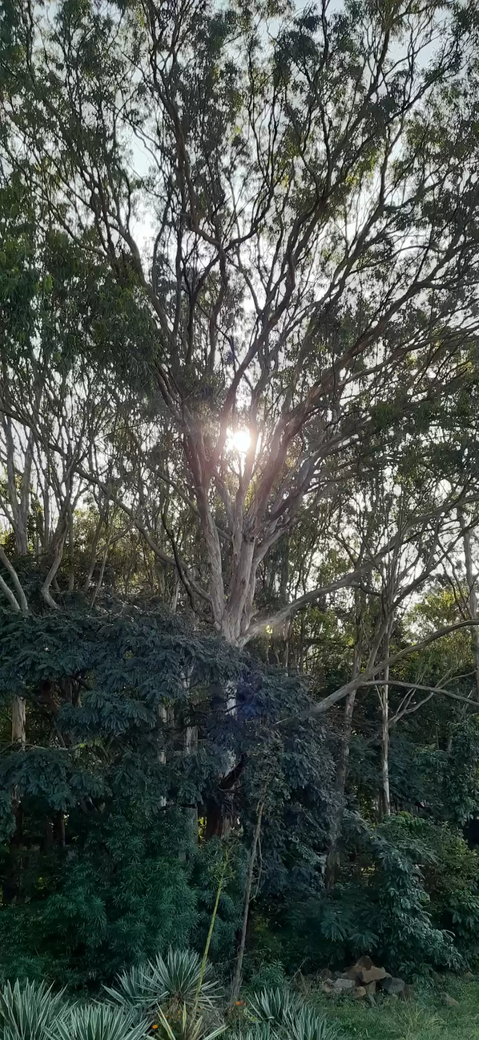 Photo of Horsley hills