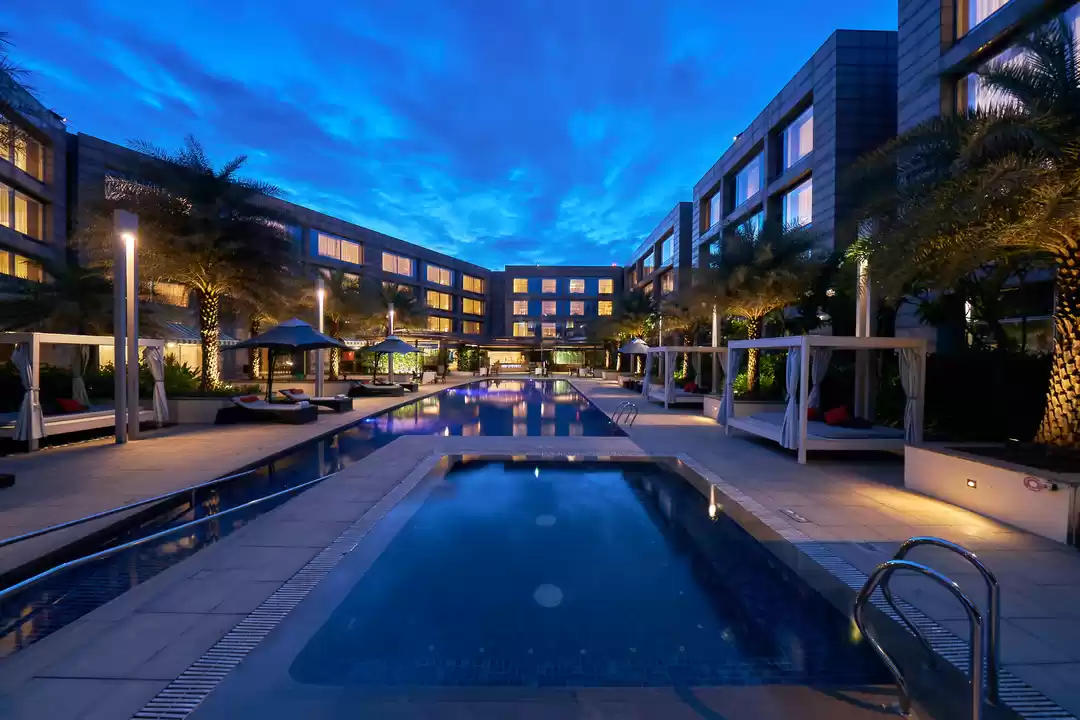 Photo of I Took a Solo Stayca