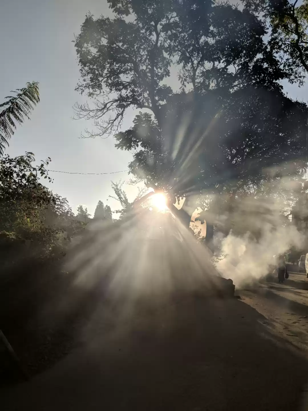 Photo of Here Comes the Sun #