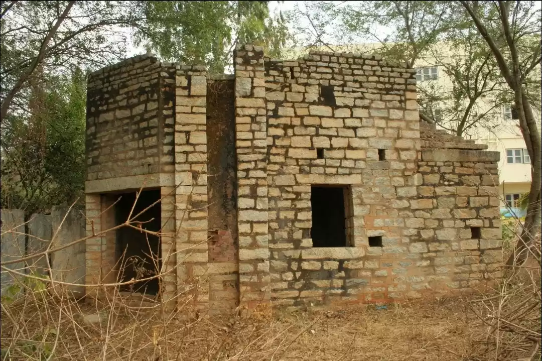 Photo of My Father Helped Sav