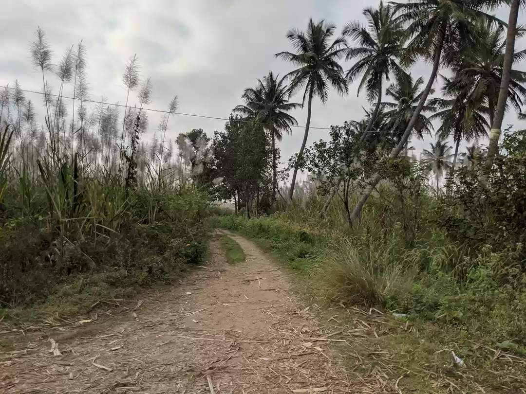 Photo of My Mum Surprised Me 