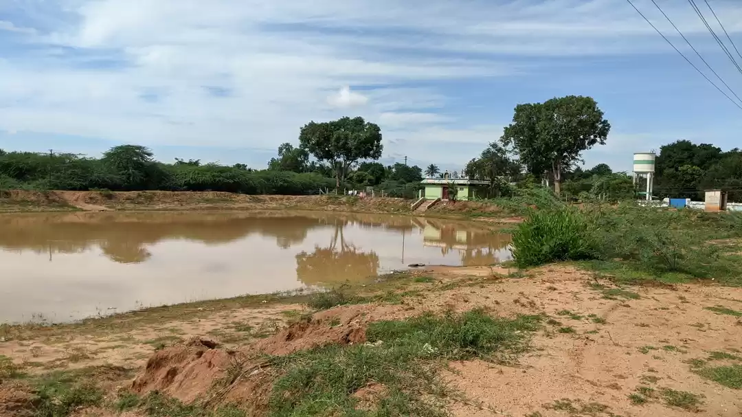 Photo of Has Domestic Travel