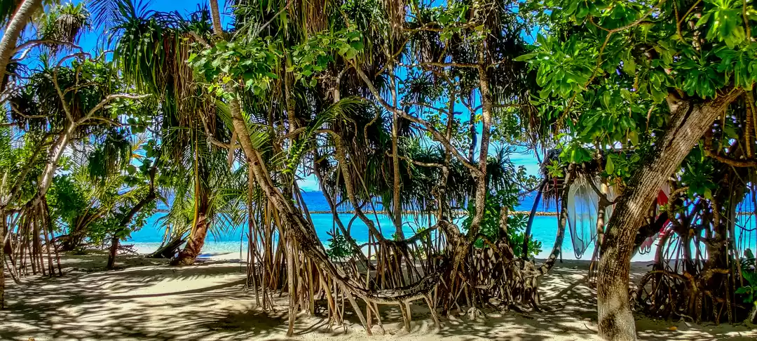 Photo of Maldives through a f