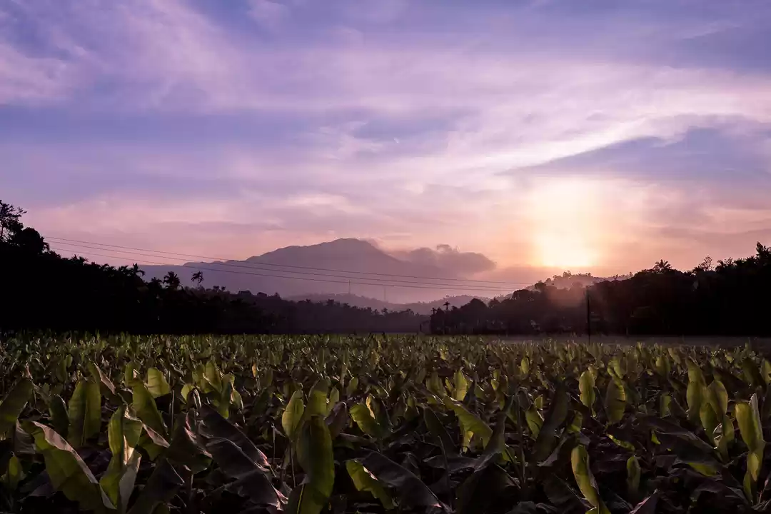 Photo of KERALA ROAD TRIP PAR