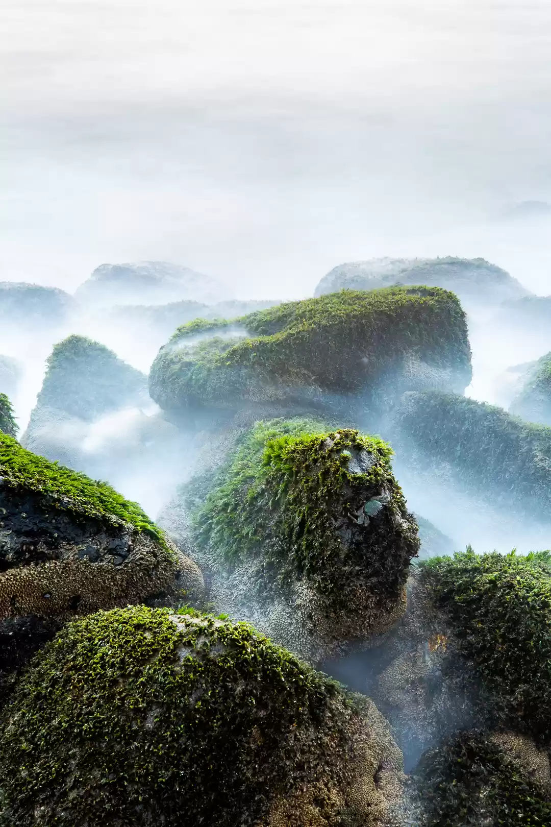 Photo of Where the Backwaters