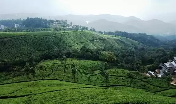Photo of Munnar Travel Guide