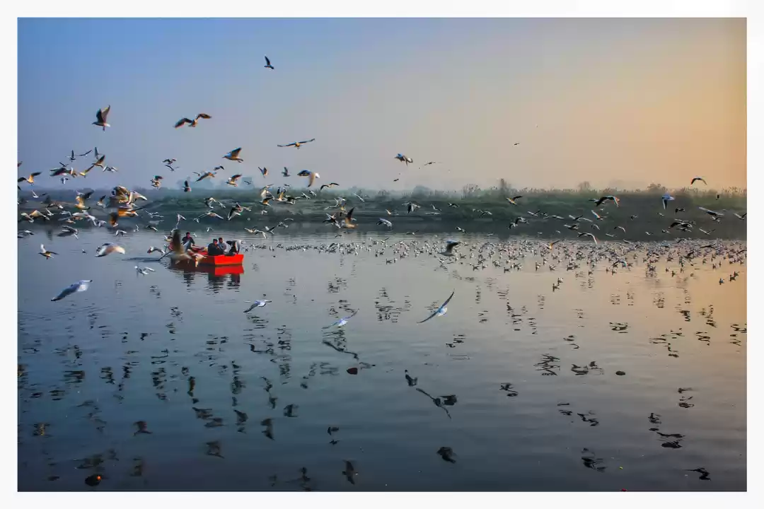 Photo of Delhi in Winters