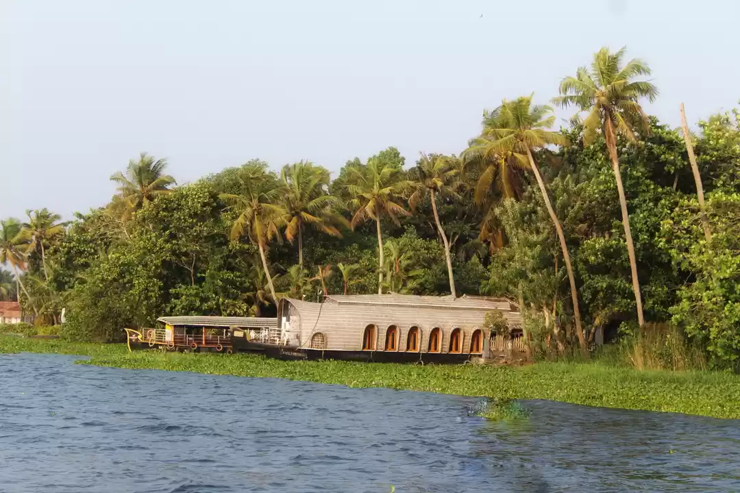 Photo of Banana chips with te