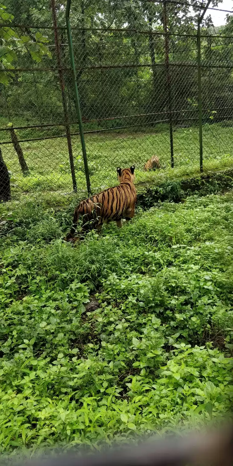 Photo of Sanjay Gandhi Nation