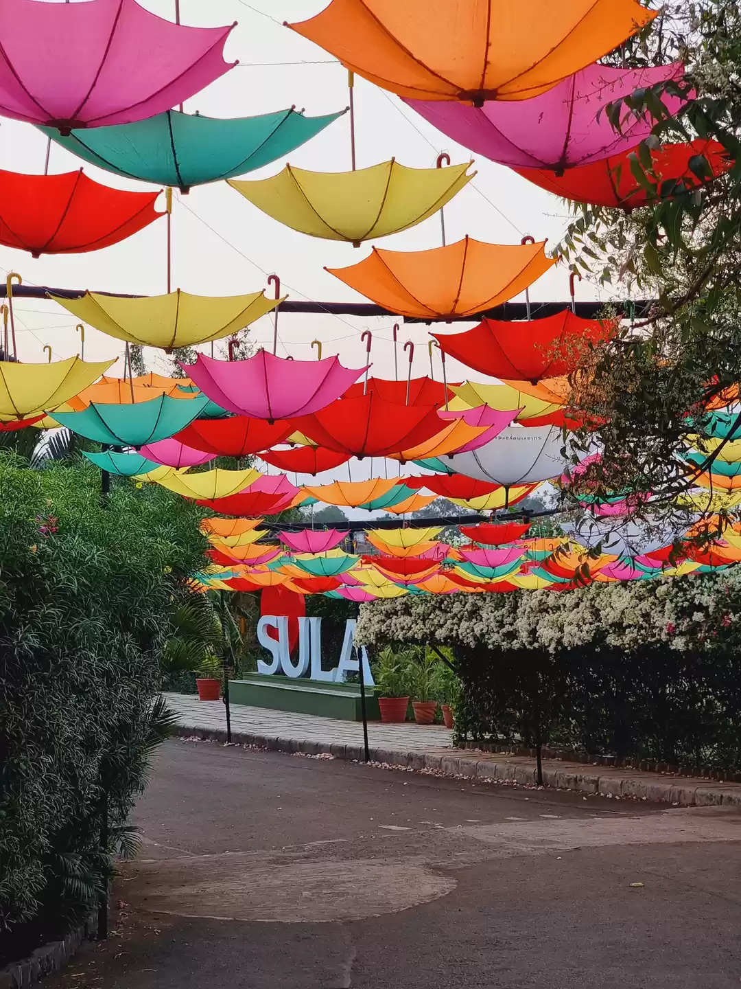 Photo of La visit Nasik ! 1 d