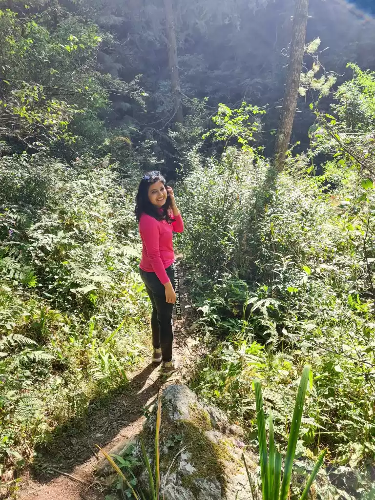 Photo of Workation in Himacha