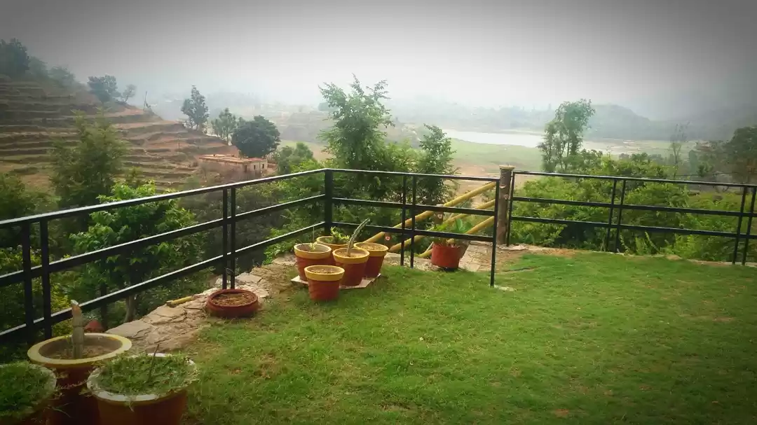 Photo of 7 Golden rules of li