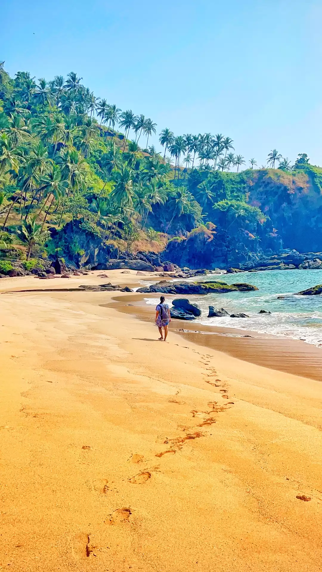 Photo of Goa: A Trip which ca