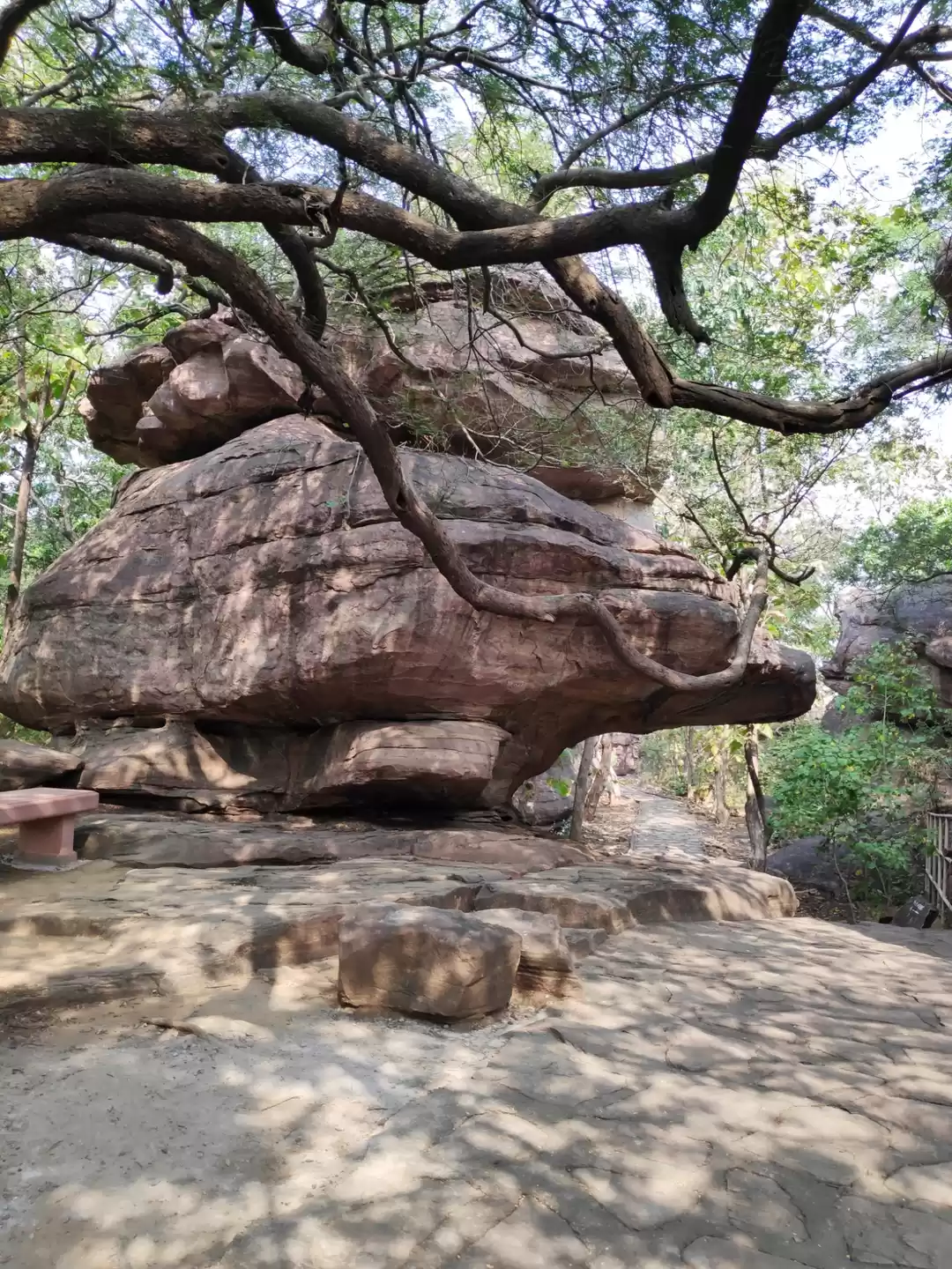 Photo of Explore cave art in 