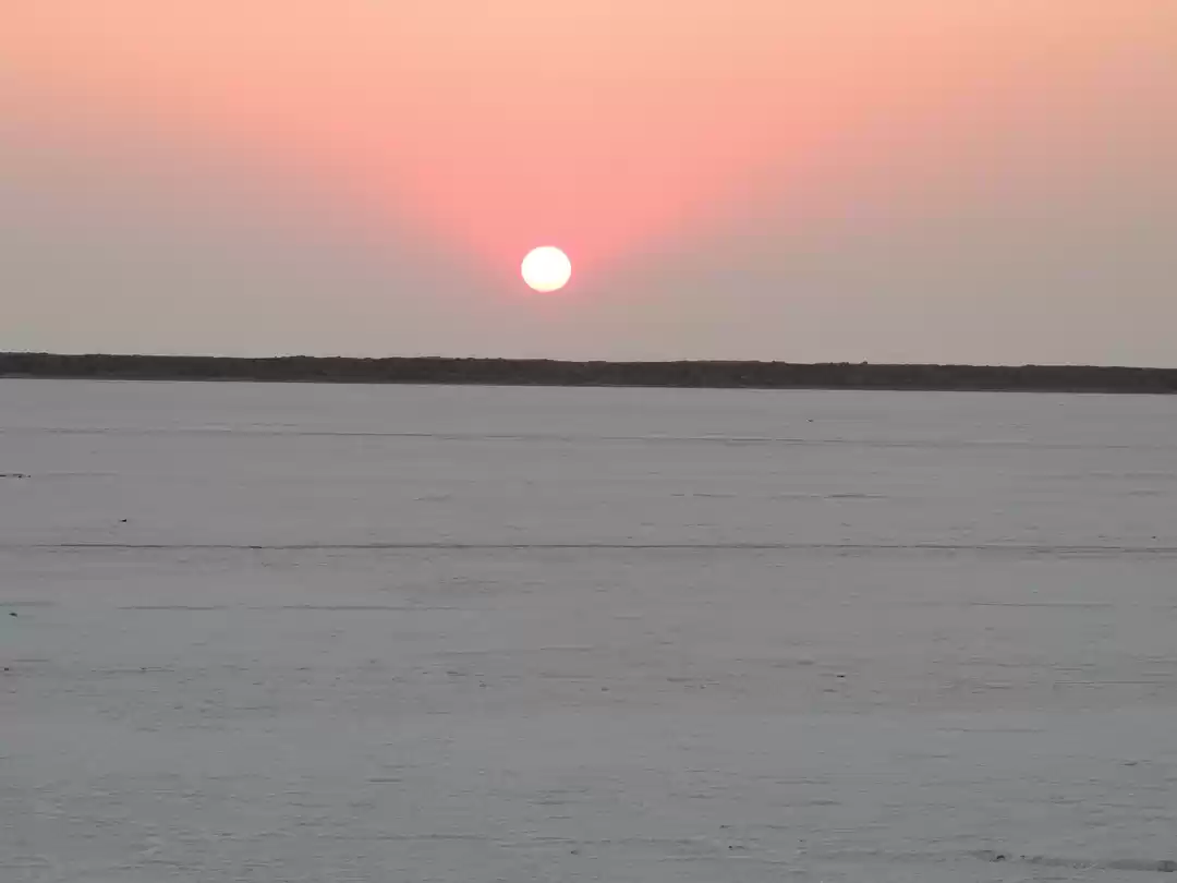 Photo of Run in the Rann