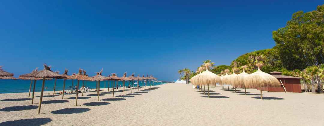 Photo of A Christmas in Goa