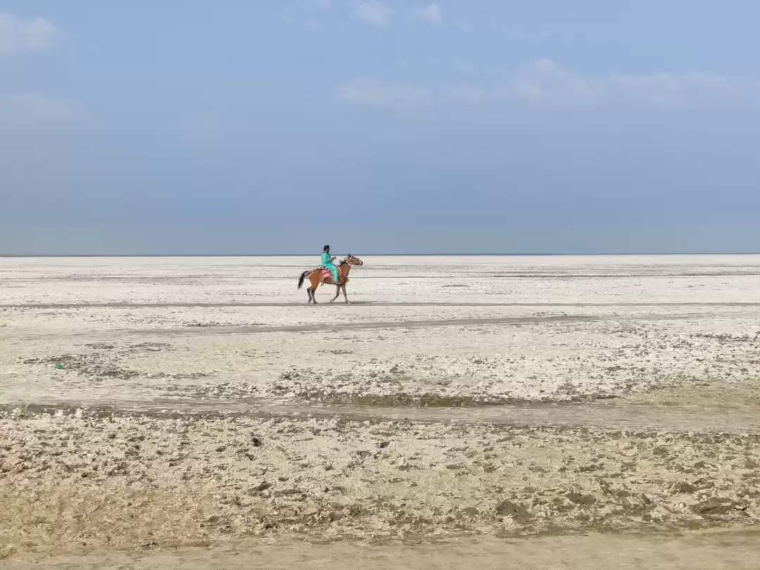 Photo of Kutch – A Road Trip 