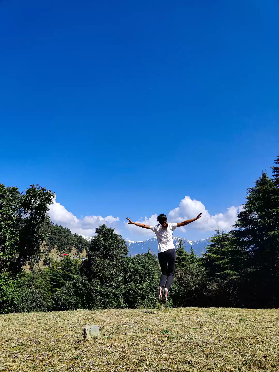 Photo of A sight to behold fo