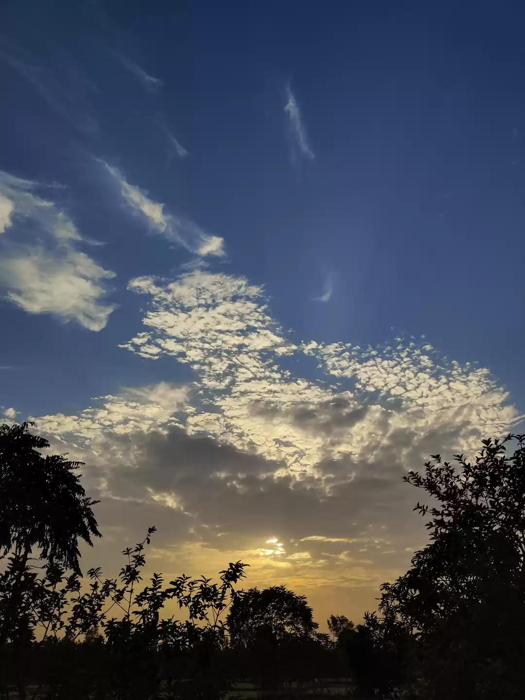 Photo of Amazeball sights fro