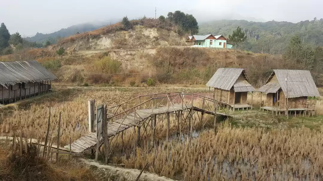 Photo of Paradise on Earth..N