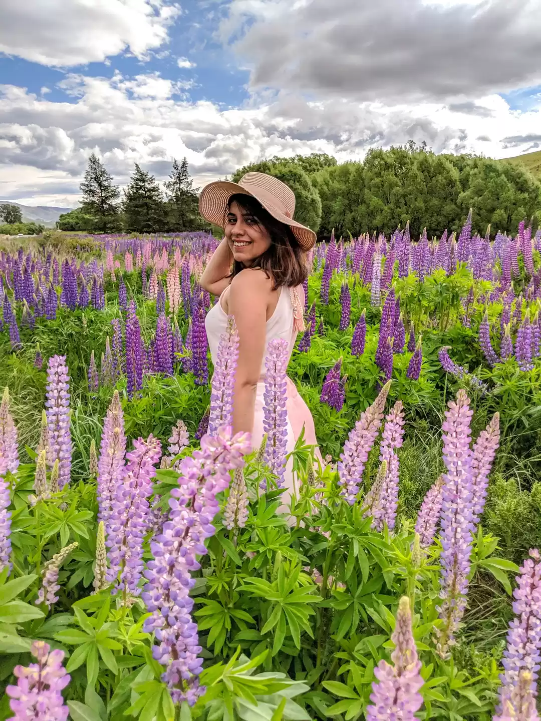 Photo of New Zealand- an unfo