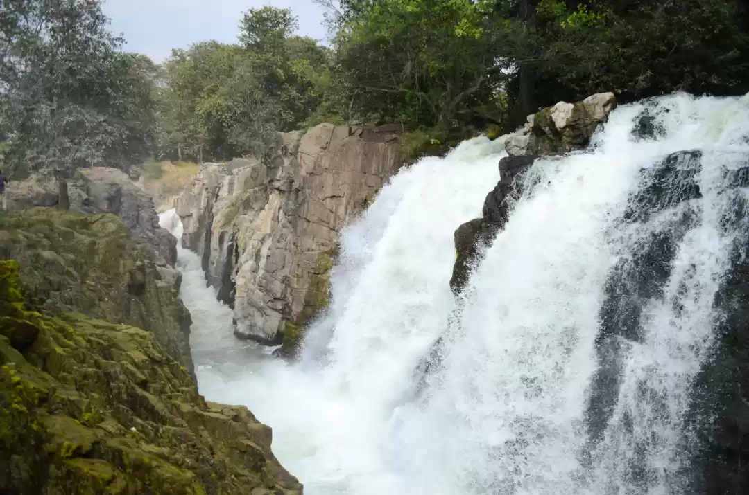 Photo of Hogenakkal Falls