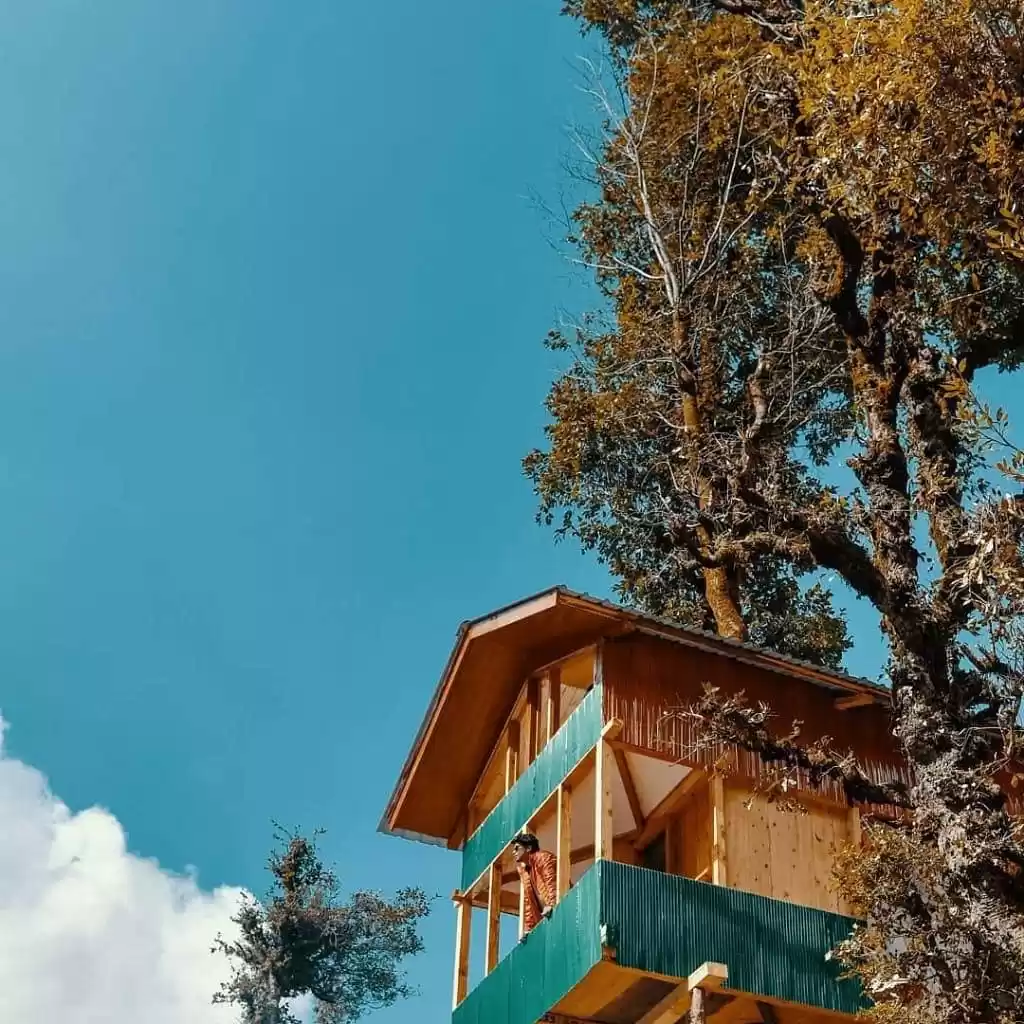 Photo of Tree houseinjibhi
