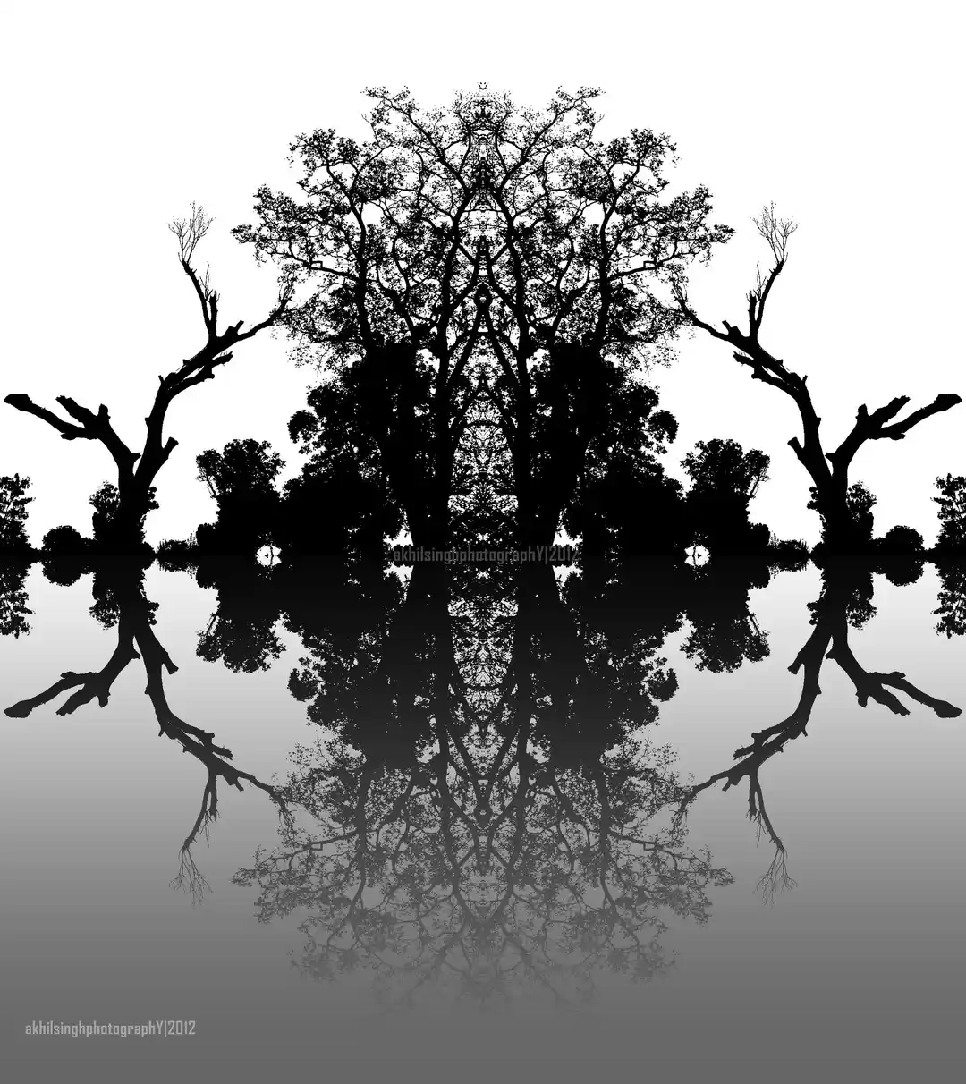 Photo of Deoria Taal: The lon