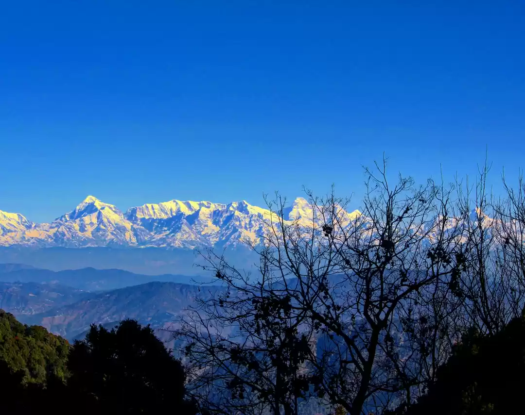 Photo of The Himalayan View P