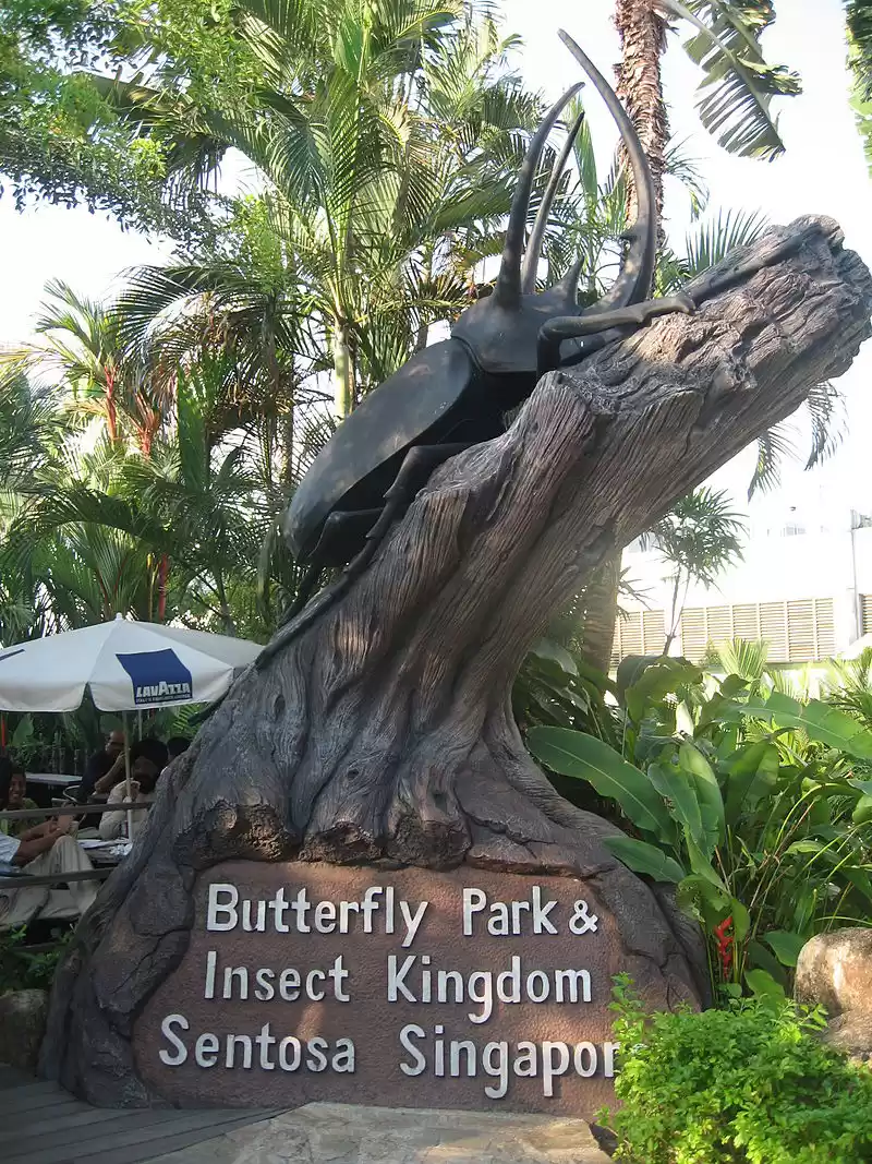 Photo of Butterfly Park & Ins