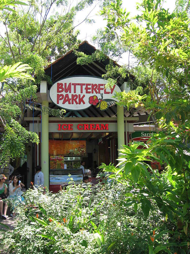 Butterfly Park Insect Kingdom for 