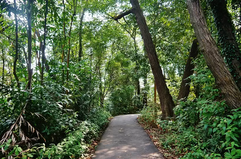 Photo of The Best Nature Trai